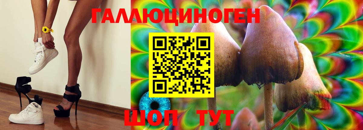 Урус-Мартан  Галлюциногенные грибы Psilocybe  Вход с VPN 